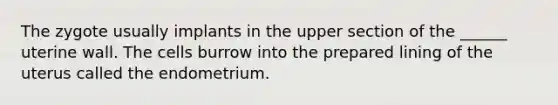 The zygote usually implants in the upper section of the ______ uterine wall. The cells burrow into the prepared lining of the uterus called the endometrium.