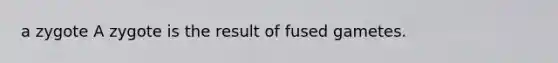 a zygote A zygote is the result of fused gametes.