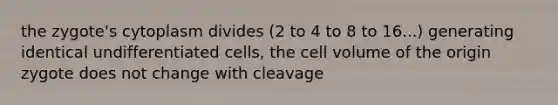 the zygote's cytoplasm divides (2 to 4 to 8 to 16...) generating identical undifferentiated cells, the cell volume of the origin zygote does not change with cleavage