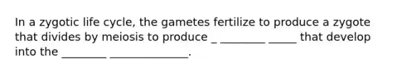 In a zygotic life cycle, the gametes fertilize to produce a zygote that divides by meiosis to produce _ ________ _____ that develop into the ________ ______________.