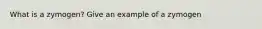 What is a zymogen? Give an example of a zymogen