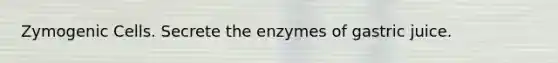 Zymogenic Cells. Secrete the enzymes of gastric juice.